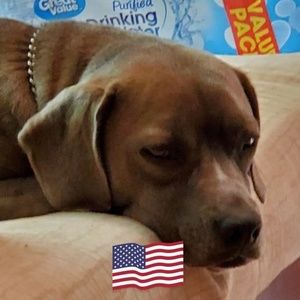 Meet your Posher, Penny